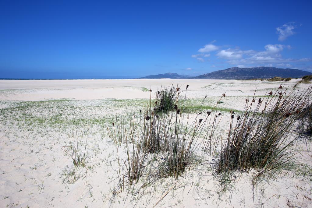 Blue Fin Tarifa Appartement Buitenkant foto